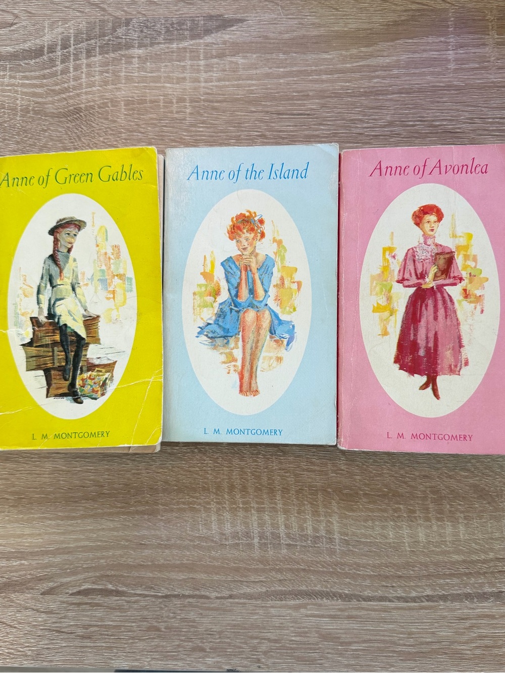 Classic Book Set - Anne of Green Gables